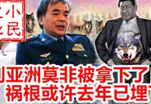 小民之心:刘亚洲上将被习近平拿下,祸根或许早就埋下