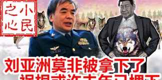 小民之心:刘亚洲上将被习近平拿下,祸根或许早就埋下