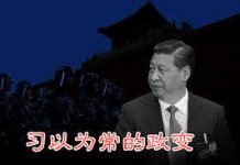 魏京生:对习不要抱任何期待 政变正在进行中