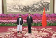 向阳:习近平第一个公开承认塔利班政权的大国领导人