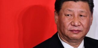 新高地:习近平亲自管经济,中国将迎来一场大浩劫!