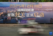 习近平叶公好龙,海南又要遭殃了