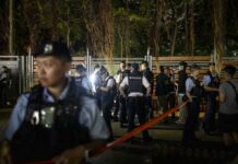 中国已进入一个“B荒马乱”的时代