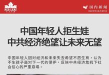 中国出生率断崖式下滑的根源是什么?