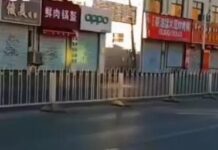 保定到底出什么大事了?