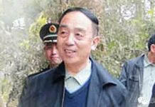 第4章:“白丁将军”田修思陨落的真相