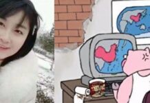习近平治下,画猪头也要坐牢