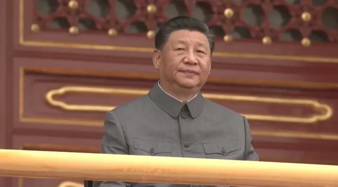 习近平要治他人,还不如先治好自己的脑子