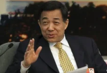 薄熙来复出的可能性有多大?