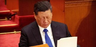 从习近平学历看中国假官员现象