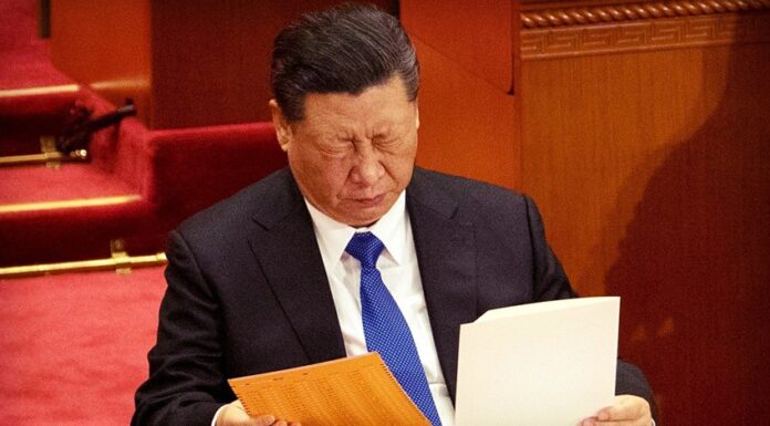 从习近平学历看中国假官员现象