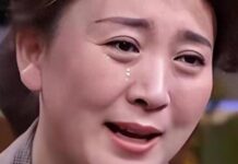 闫学晶道歉为何“令人作呕”?