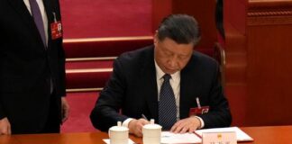 习近平反腐为何越反越腐?