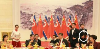 习近平反腐,就像掉进粪坑打苍蝇