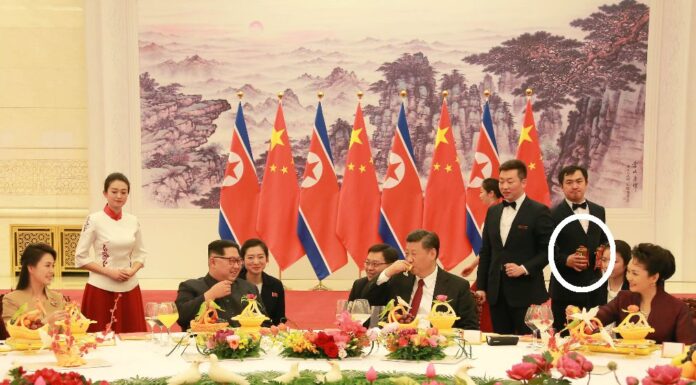 习近平反腐,就像掉进粪坑打苍蝇