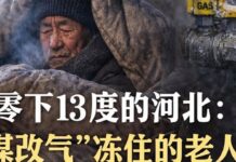 习近平耍特权,河北取暖入罪