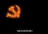中共就是一台 “人肉榨汁机”