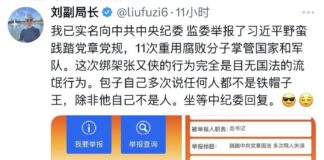 习近平为何屡屡遭人举报?