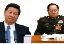 习近平犯众怒,全网力挺张又侠
