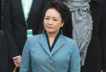 女大学生给彭丽媛女士的一封信
