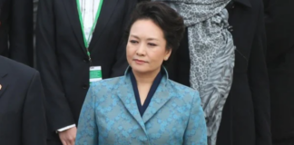 女大学生给彭丽媛女士的一封信