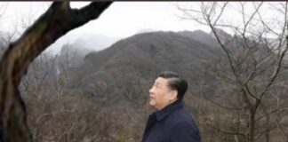习近平:你们为何屡次误我?