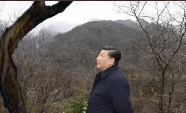 习近平:你们为何屡次误我?