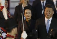 不要小看彭丽媛的山东帮