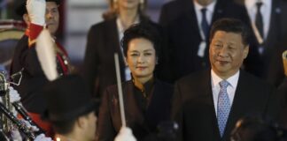 不要小看彭丽媛的山东帮