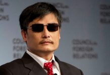 陈光诚起诉王志安为何网上一片欢呼?