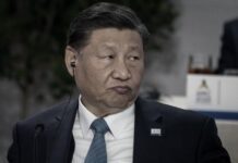 给习近平的十条保命建议