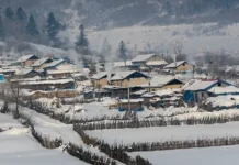 东北人去楼空,有人盼日本人回归