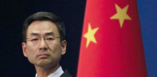 外交连连失利,战狼耿爽含恨下野