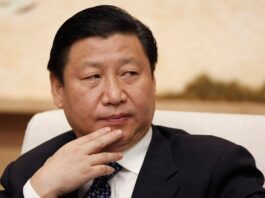 习近平治国理政全靠野蛮掠夺