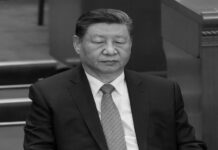 习近平为何把中共搞得三不像